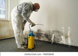 Best Water Damage & Mold Remediation  in Watts Mills, SC